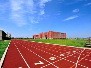 运动场地坪